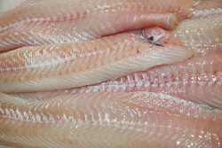 Filet de Merlan
