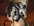Forfait mariage - COIFFURE - COIFFURE ANICK