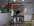 Toilettage - TOILETTAGE - CHIEN ET CHAT