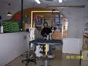 Toilettage - TOILETTAGE - CHIEN ET CHAT
