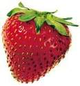Go�t et  Saveur