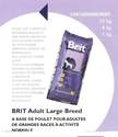 Alimentation chiens-Brit adulte grande race