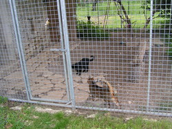 PICT0002.JPG