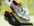 RUBEN  - CHAUSSURES REDSKINS - CAROL'CHAUSSURES