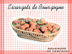 Escargots de Bourgogne - Les produits maison - SALAISONS DE CAMPAGNE