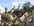 DSC06097 copie.jpg