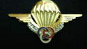 INSIGNE  MONITEUR PARACHUTISTE