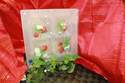plat gusto 4 parties - CUISINE ET ARTS DE LA TABLE - LE TORCHON A CARREAUX