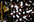 bijoux4.jpg