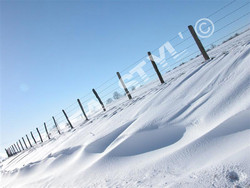 NEIGE 4 (Medium).JPG