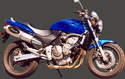 Pots d'�chappement pour Honda Hornet 600cc -  POTS D'ECHAPPEMENT HONDA - MOTO KRISTEN