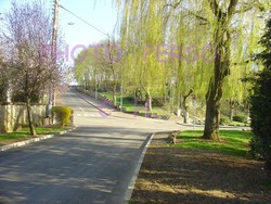 DSC04302 Promenade de la Douix.jpg