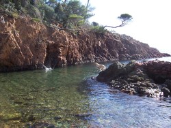 r�ganne � la mer