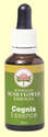 Fleurs du Bush australien : Complexe Cognis 30ml