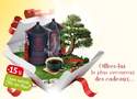 THE EDITION PRESTIGE BIO ROOIBOS CITRON GINGEMBRE