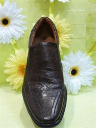 collection Et� 2009 080 (Large).jpg