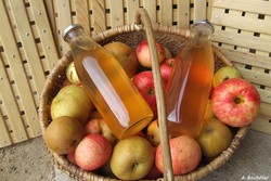 Jus de fruits artisanal