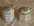 pots � moutarde