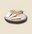 comte.jpg