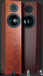 TOTEM FOREST