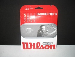logo_wilson.jpg
