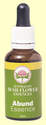 Fleurs du Bush australien : Complexe Abund 30ml