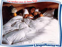 Literie/Couettes Lestra - Literie / couettes / protection - LINGORAMA