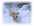 r�ganne aux sports d'hiver
