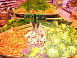 CCI PHOTO 005.jpg
