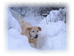 r�ganne aux sports d'hiver