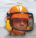 Casque forestier + anti-bruit + grille de protection