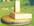 comt�1.jpg