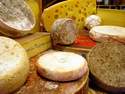 LES VACHES DE FRANCE
