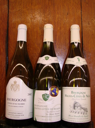 DSC03863.JPG