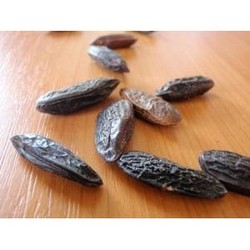 FEVES TONKA  - EPICES - EPICERIE FINE CALISA:  vente  th� .caf�. sp�cialit�s de Bourgogne