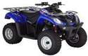 QUAD MIXTE