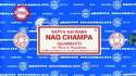 Encens Nag Champa Satya 1kg (environ 1000 b�tons)