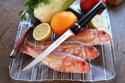 COUTEAU OPINEL EFFILE, A DECOUPER, VIANDE et VOLAILLE - COUTEAUX OPINEL  - LE SULTAN