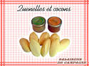 Quenelles de brochet et cocons