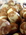 DSC09385-1.JPG