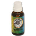 ELIXIR DE CRISTAUX LABRADORITE