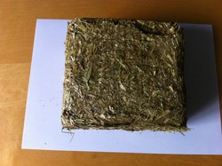 IMG_0066.JPG