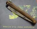  MEMOIRE D'UN CHENE SUBFOSSILE : COUTEAU FORGE DE LAGUIOLE