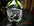 DSCN0441.JPG