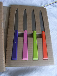 COFFRET 4 COUTEAUX OPINEL ESPRIT POP
