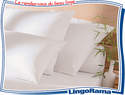 Protection literie - Literie / couettes / protection - LINGORAMA