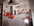A chaque pi�ce son papier peint ! - La BOUTIQUE DECORIAL - PIERRE MASSE
