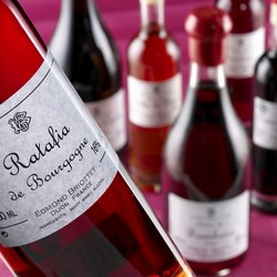 CASSIS GERARD BRIOTTET - CASSIS BRIOTTET - BOURGOGNE STREET