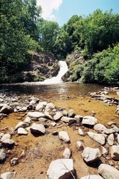 gouloux w.jpg