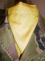 PLASTRON DE PARADE INFANTERIE
